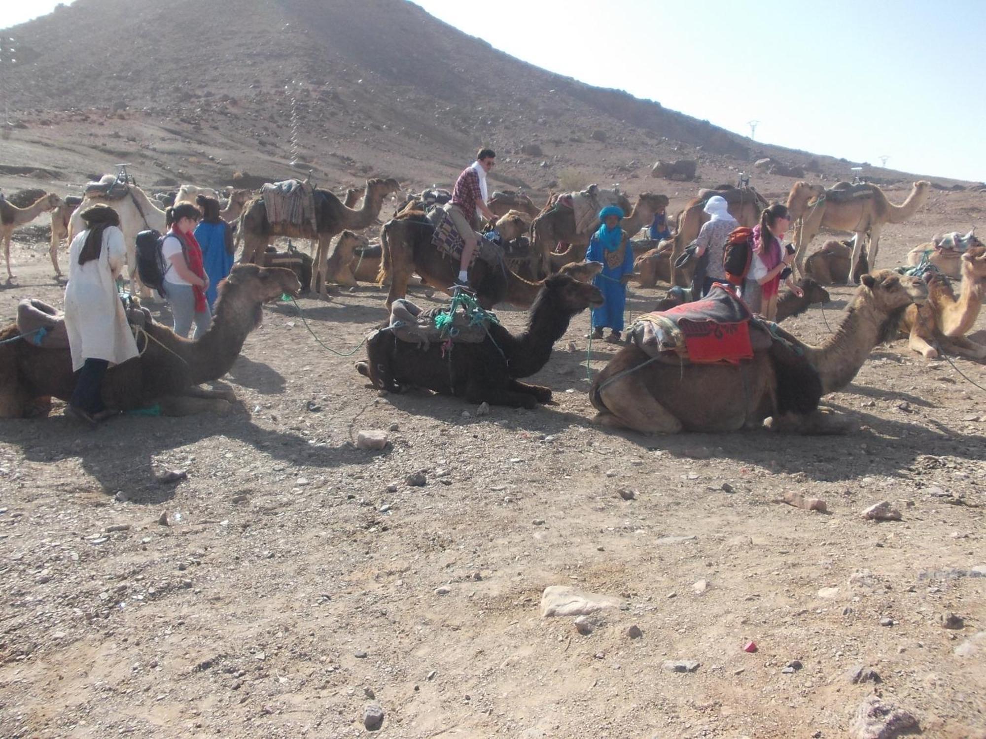 Hotel Bivouac Draa à Zagora Extérieur photo